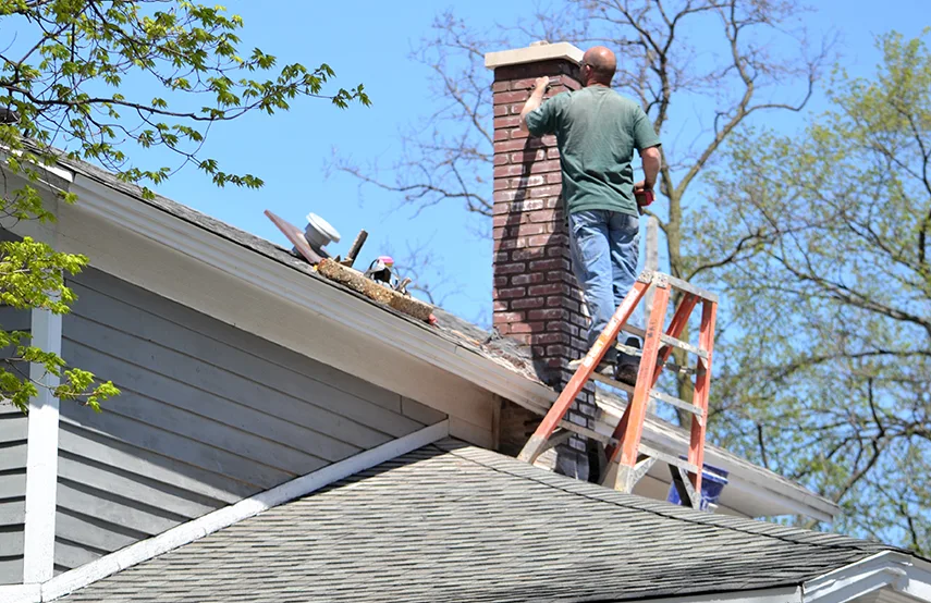 Chimney & Fireplace Inspections Services in Davis, CA